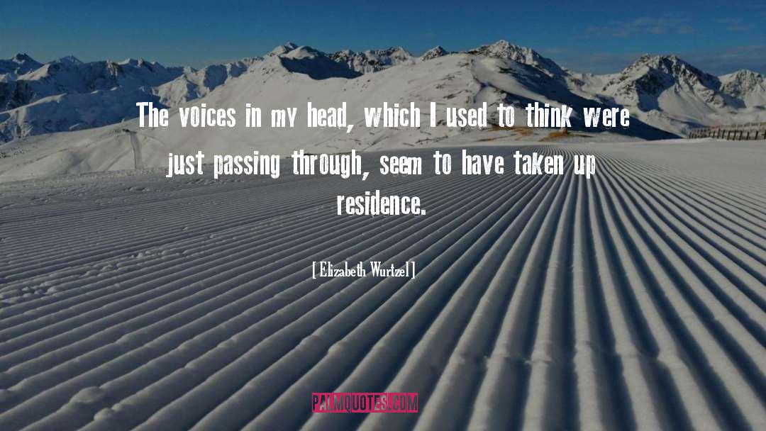 Voices In My Head quotes by Elizabeth Wurtzel