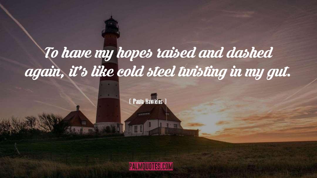 Voights Steel quotes by Paula Hawkins