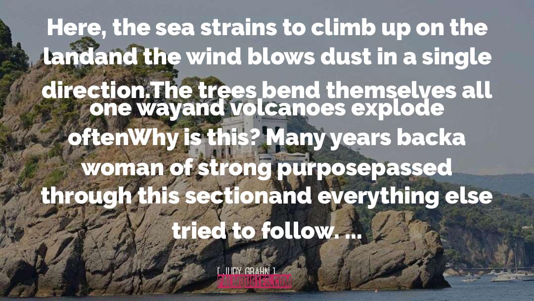 Volcanoes quotes by Judy Grahn