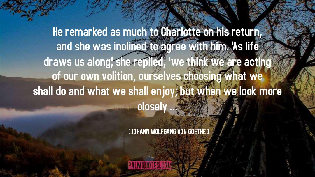 Volition quotes by Johann Wolfgang Von Goethe