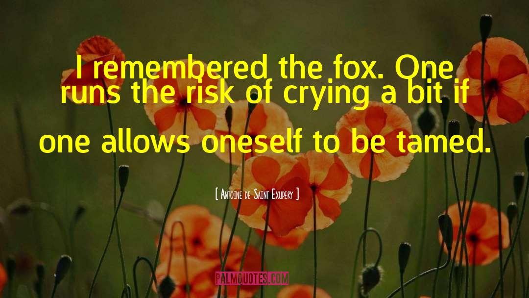Volkes Fox quotes by Antoine De Saint Exupery