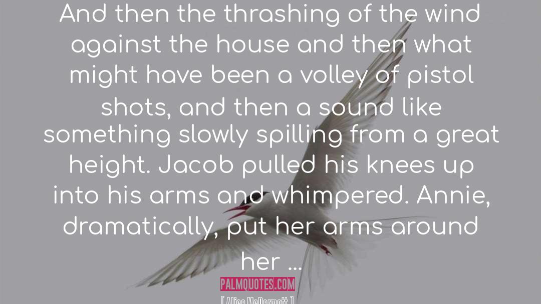 Volley quotes by Alice McDermott