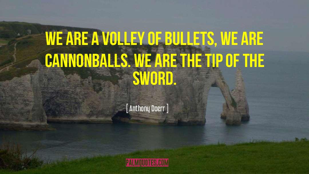 Volley quotes by Anthony Doerr