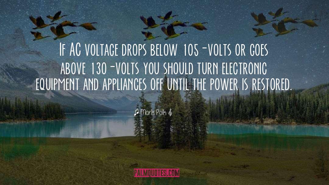 Voltage quotes by Mark Polk