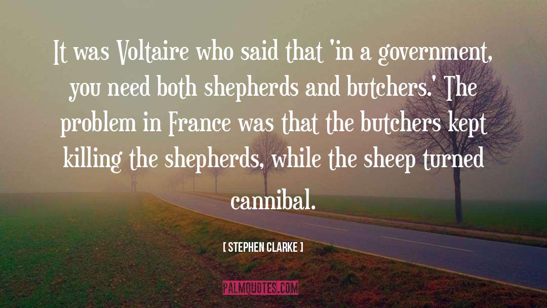 Voltaire quotes by Stephen Clarke