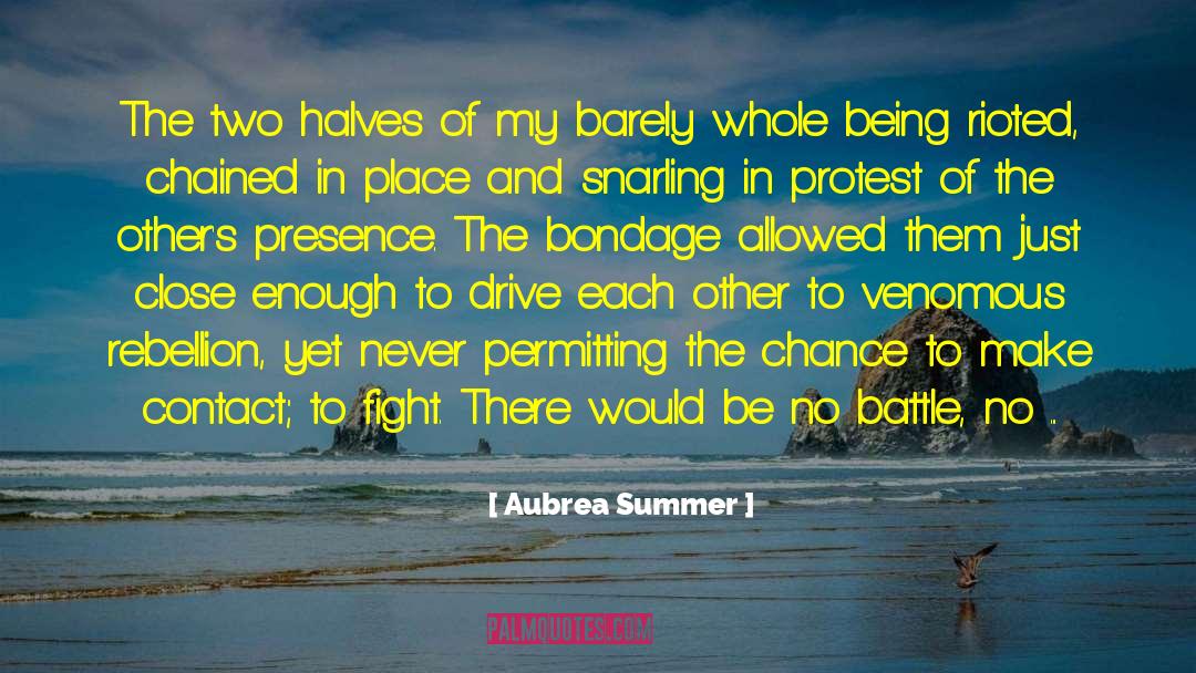 Voluntary Madness quotes by Aubrea Summer