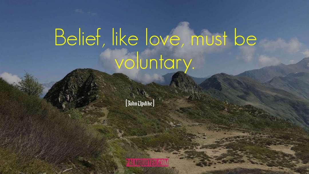Voluntary Simplicity quotes by John Updike