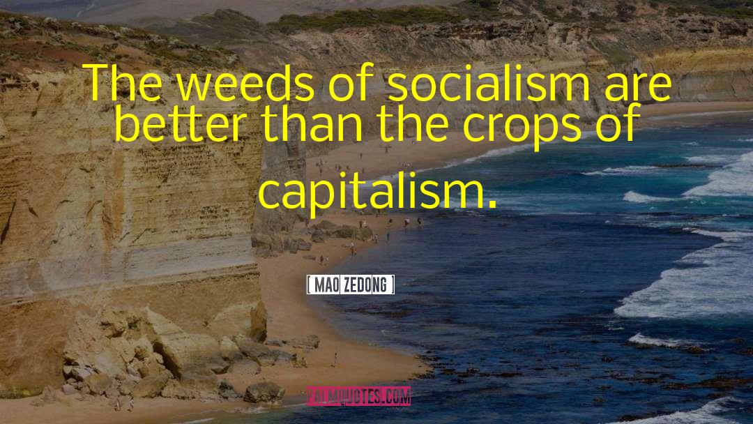 Voluntary Socialism quotes by Mao Zedong
