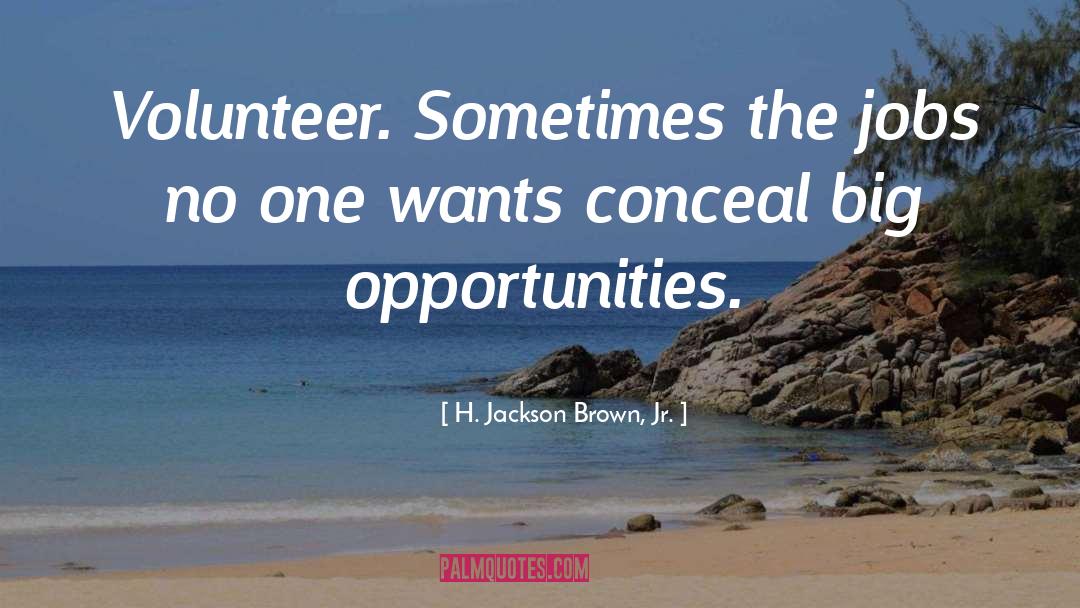 Volunteer quotes by H. Jackson Brown, Jr.