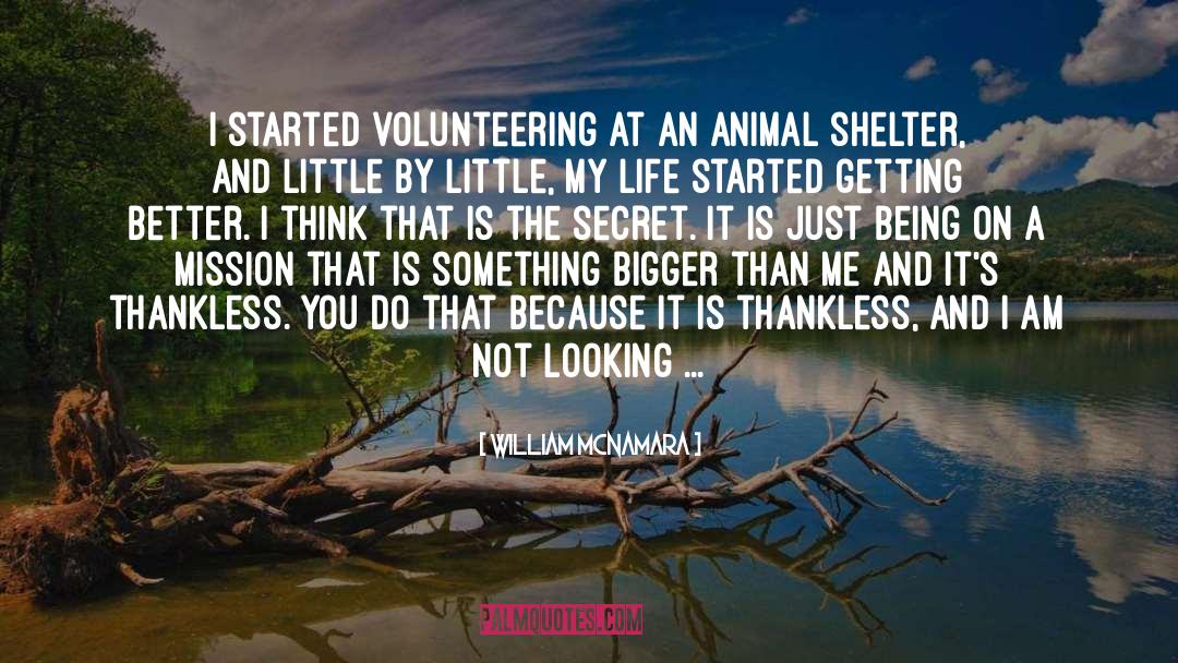 Volunteering quotes by William McNamara