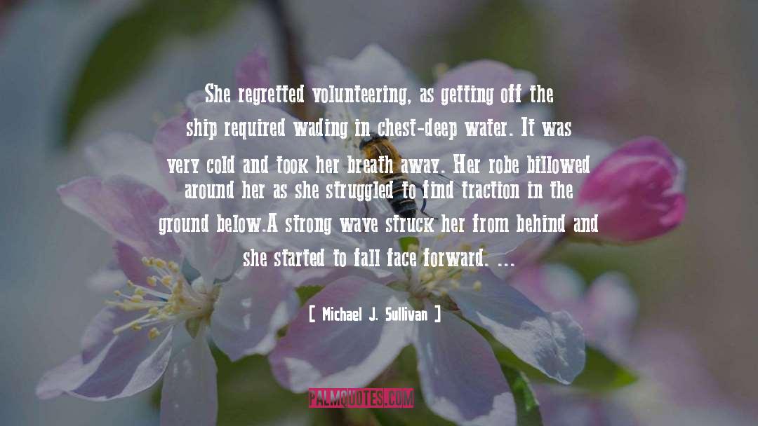 Volunteering quotes by Michael J. Sullivan