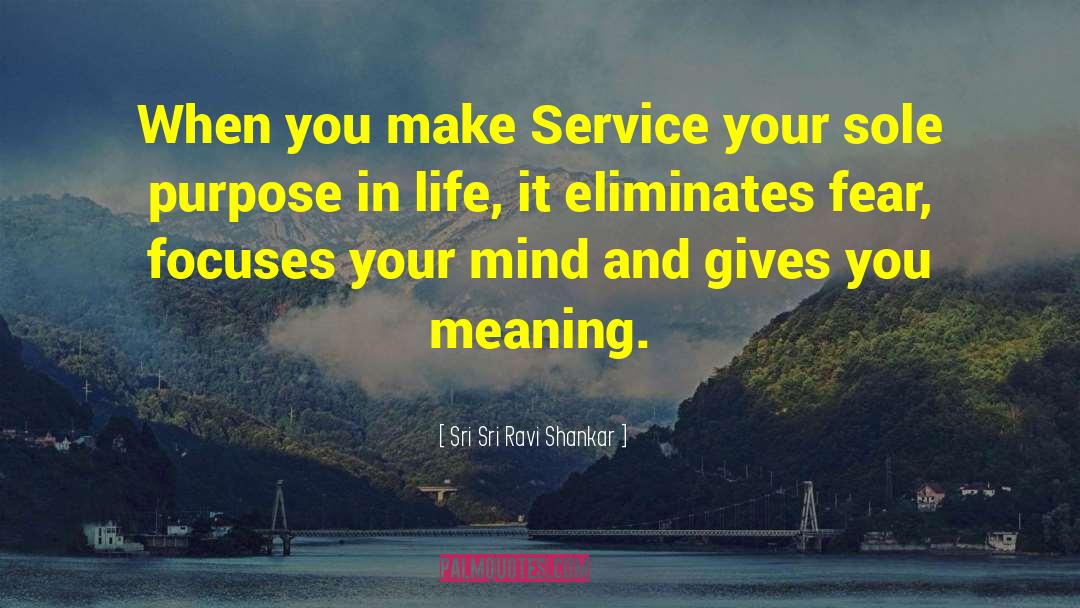 Volunteerism And Service quotes by Sri Sri Ravi Shankar