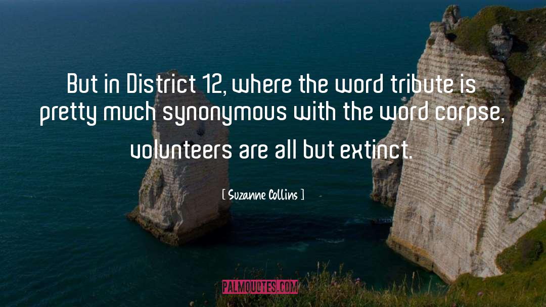 Volunteers quotes by Suzanne Collins