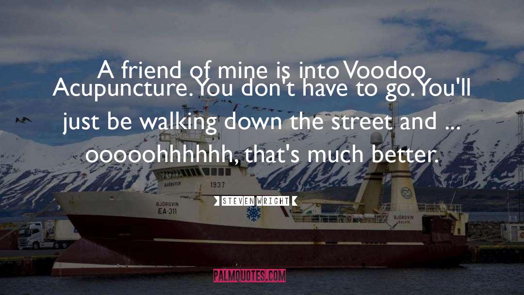 Voodoo quotes by Steven Wright