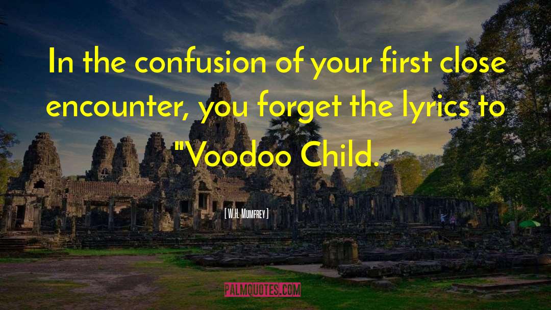 Voodoo quotes by W.H. Mumfrey
