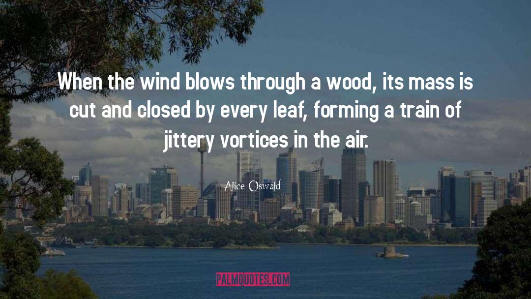 Vortices quotes by Alice Oswald