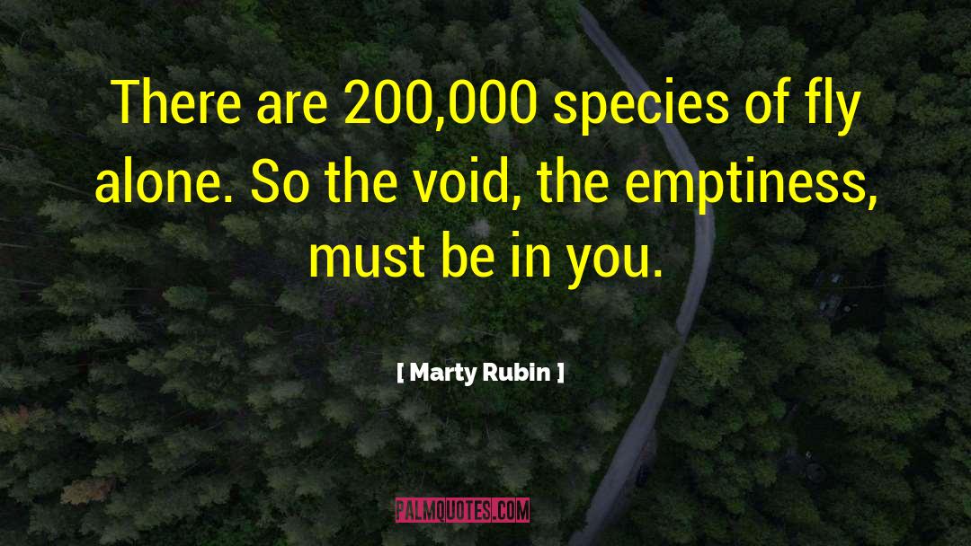 Vostro 200 quotes by Marty Rubin
