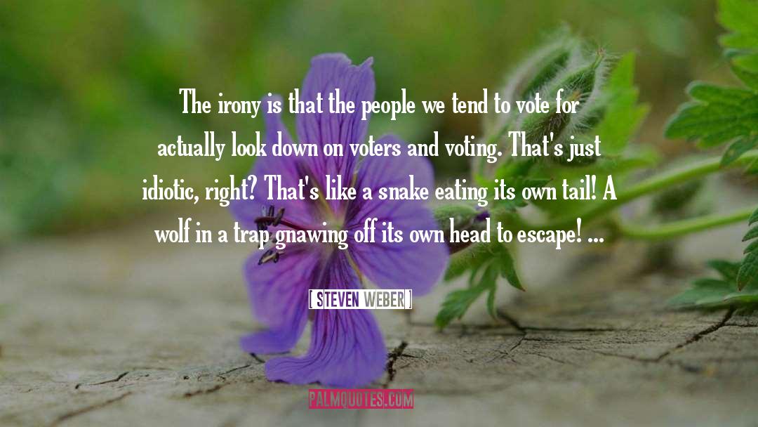 Voters And Voting quotes by Steven Weber