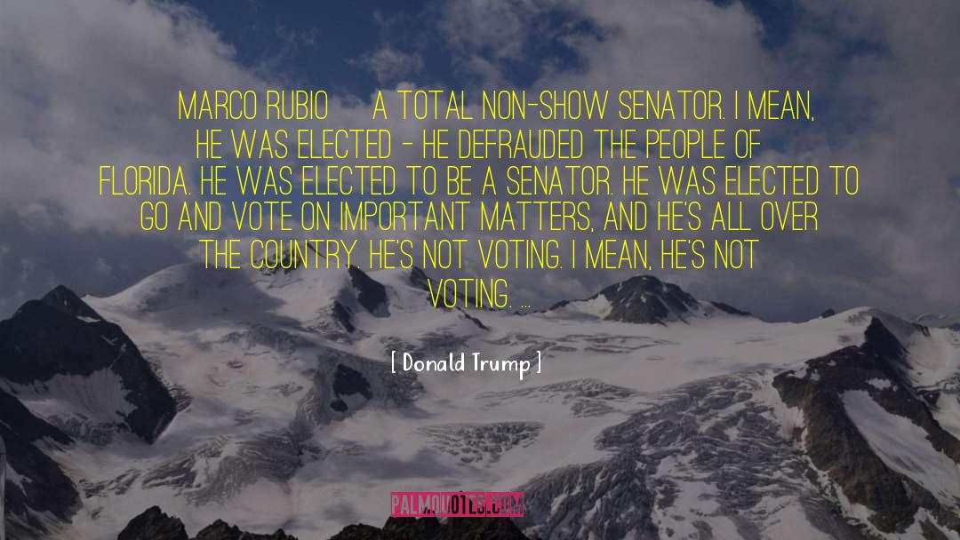 Voting Frauds quotes by Donald Trump