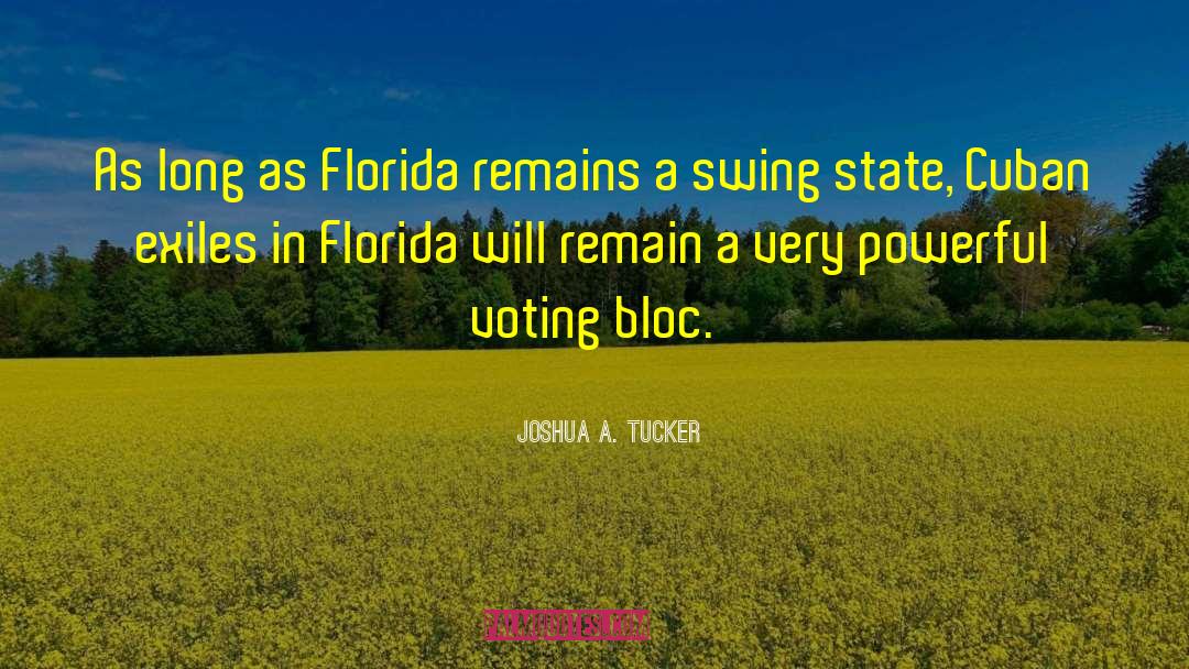 Voting Rightd quotes by Joshua A. Tucker