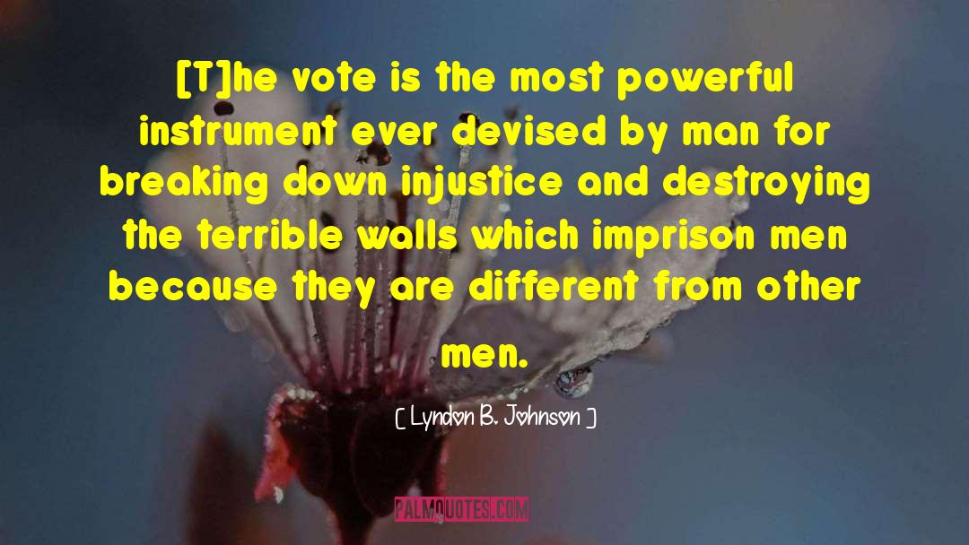 Voting Rights quotes by Lyndon B. Johnson