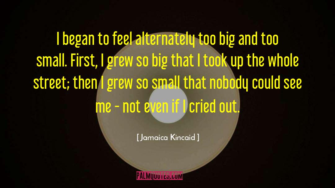 Voulgari Street quotes by Jamaica Kincaid