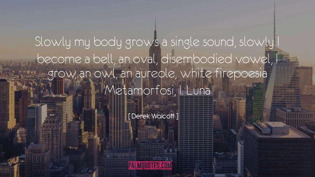 Vowel quotes by Derek Walcott