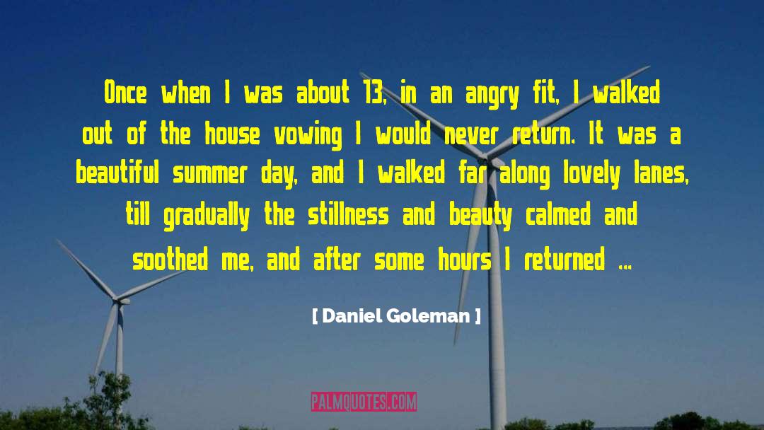 Vowing quotes by Daniel Goleman