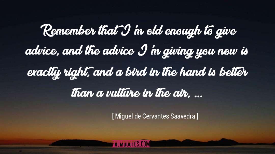 Vulture quotes by Miguel De Cervantes Saavedra