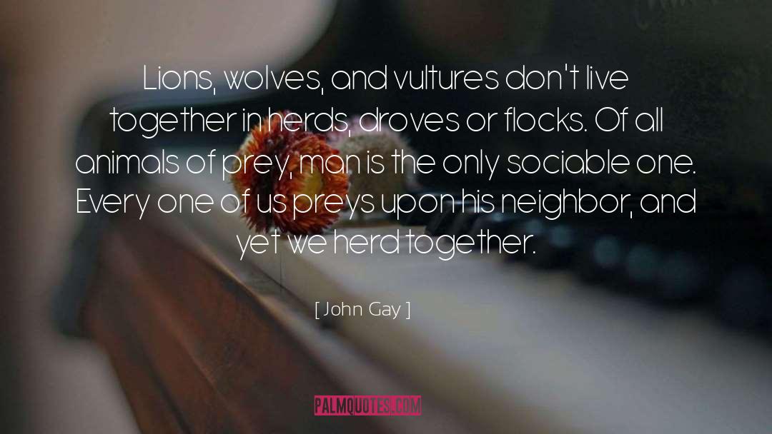 Vultures quotes by John Gay