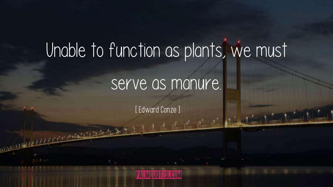 W Engine Function quotes by Edward Conze
