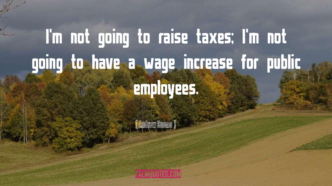 Wage quotes by Andrew Cuomo