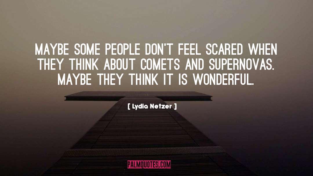 Waggly Comets quotes by Lydia Netzer