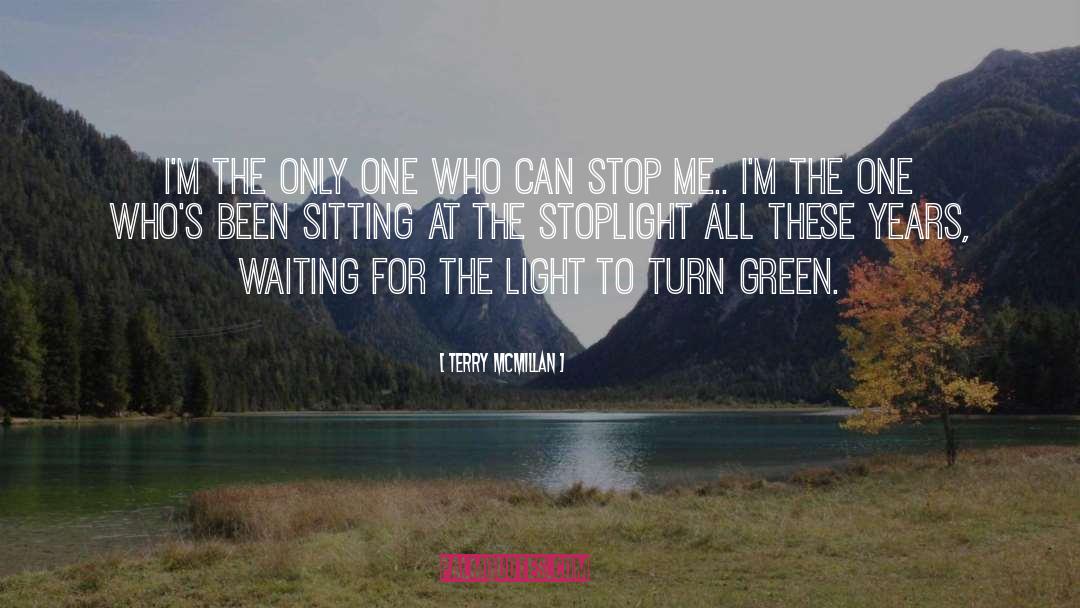 Waiting For Hope quotes by Terry McMillan