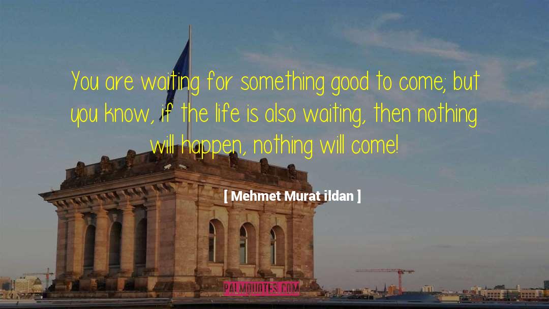 Waiting For Something quotes by Mehmet Murat Ildan