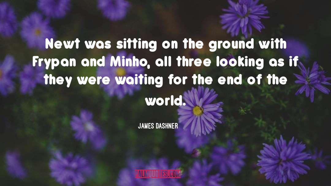 Waiting For The End quotes by James Dashner
