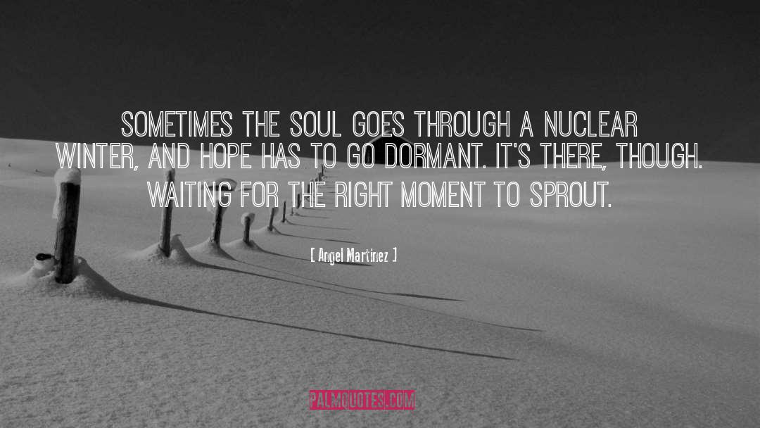 Waiting For The Right Moment quotes by Angel Martinez