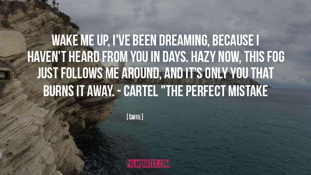 Wake Me Up quotes by Cartel