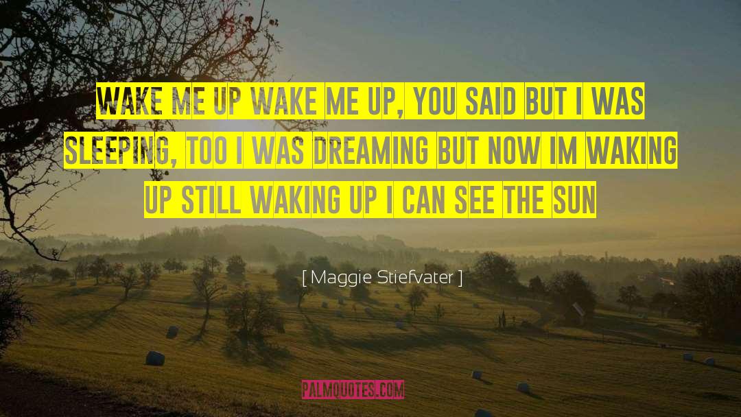 Wake Me Up quotes by Maggie Stiefvater