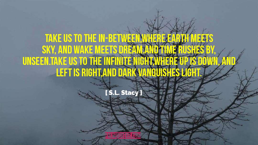 Wake Up Exhausted quotes by S.L. Stacy