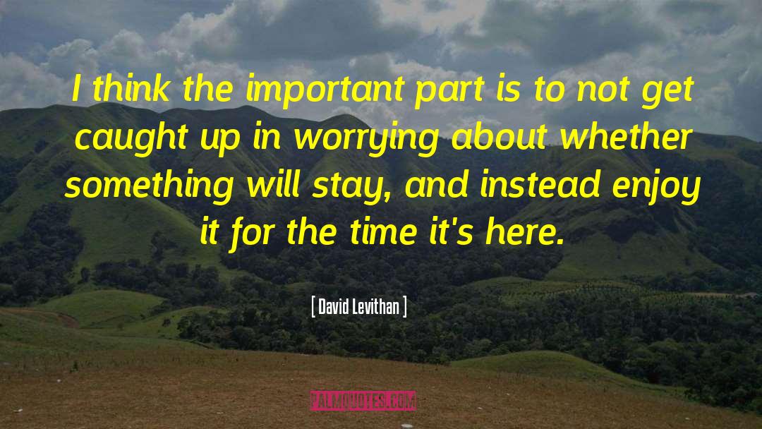 Wake Up To Enjoy The Day quotes by David Levithan