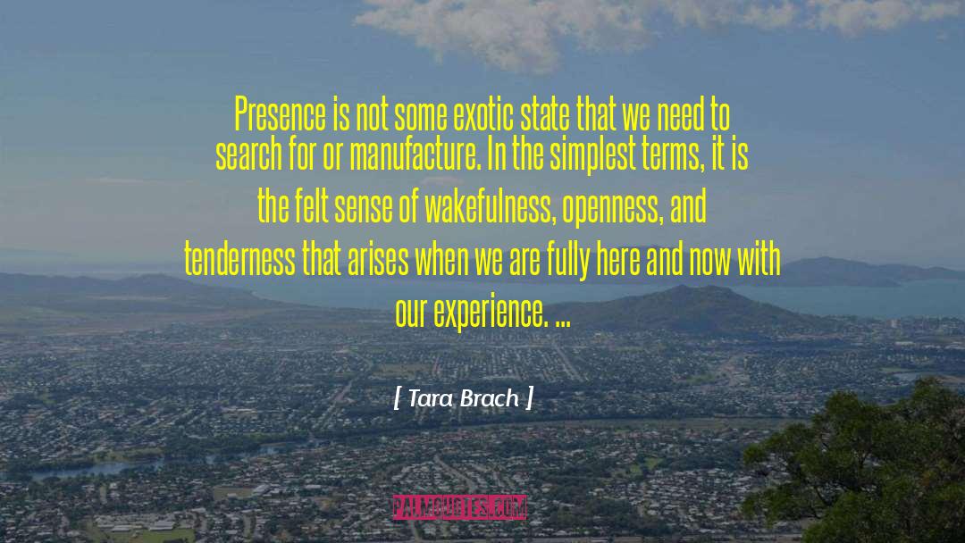 Wakefulness quotes by Tara Brach