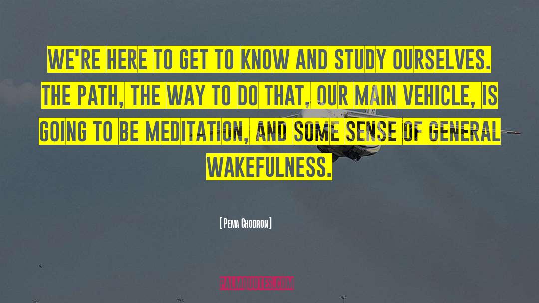 Wakefulness quotes by Pema Chodron