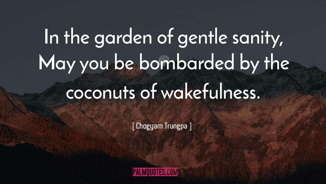 Wakefulness quotes by Chogyam Trungpa