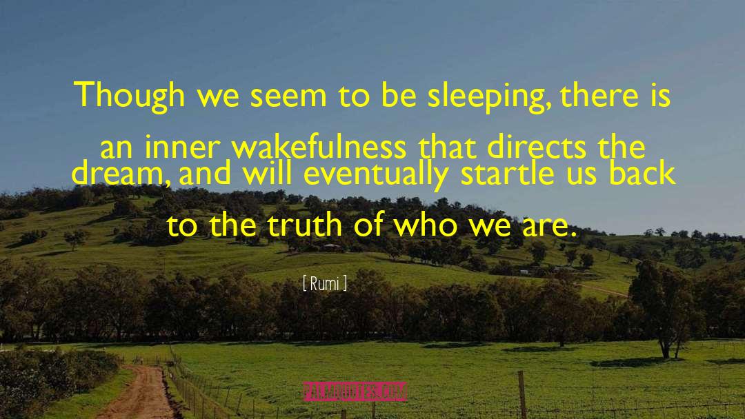 Wakefulness quotes by Rumi