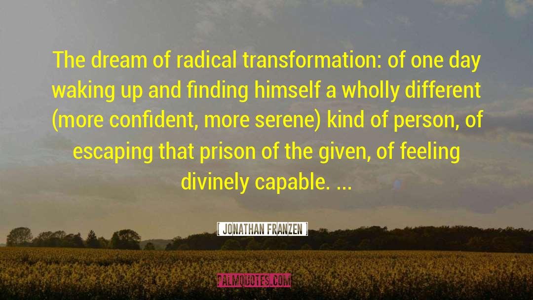Waking Up Married quotes by Jonathan Franzen