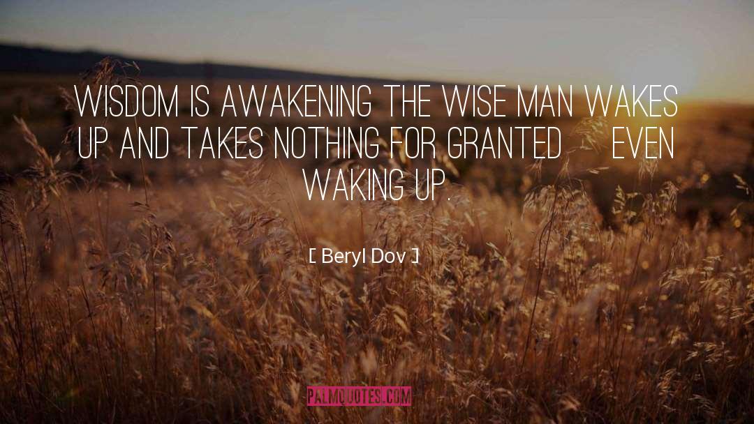 Waking Up quotes by Beryl Dov