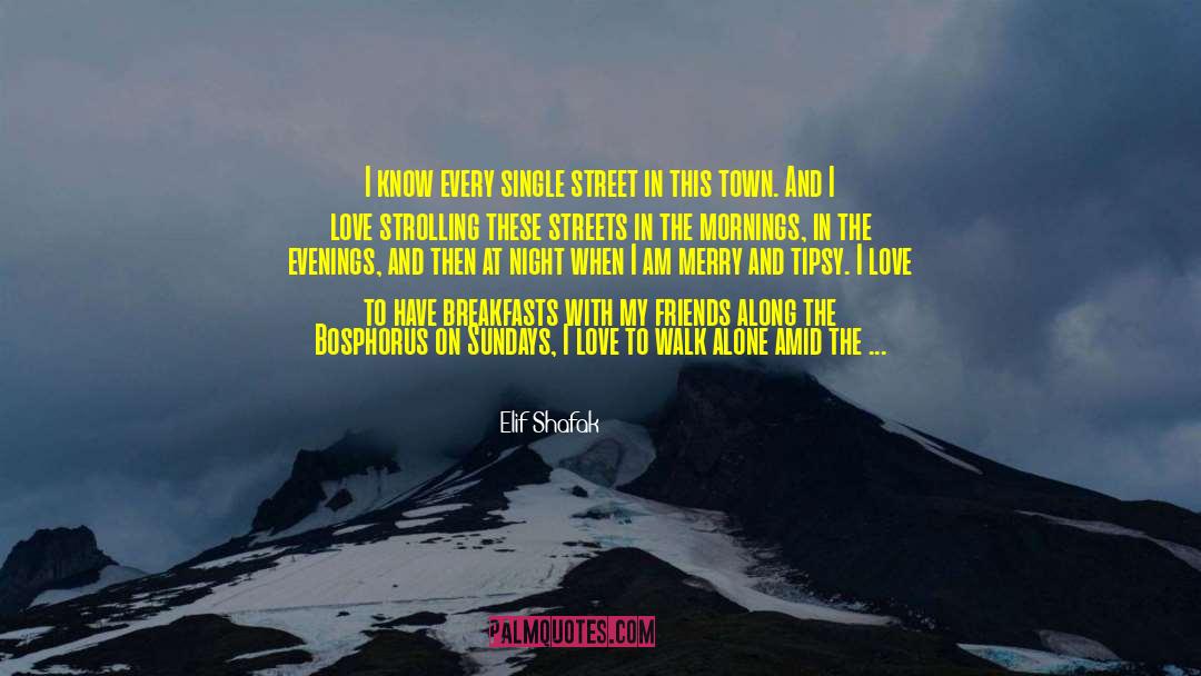 Walk Alone quotes by Elif Shafak