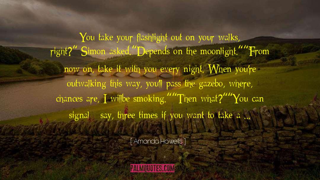 Walk Alone quotes by Amanda Howells