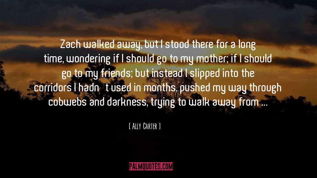 Walk Away quotes by Ally Carter